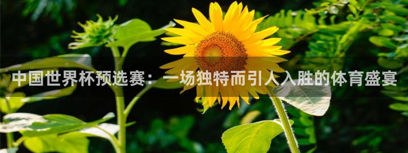 欧洲世预赛赛程表:中国世界杯预选赛:一场独特而引人入胜的体育盛宴
