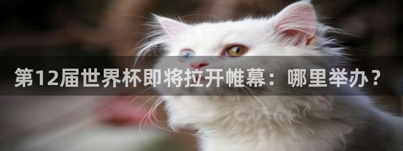 世预赛直播:第12届世界杯即将拉开帷幕:哪里举办?