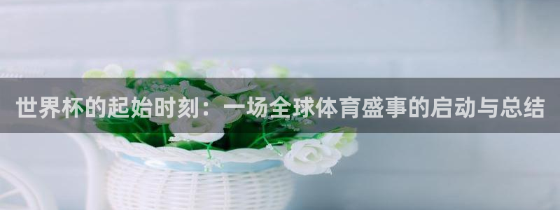 世界杯 直播:世界杯的起始时刻:一场全球体育盛事的启动与总结