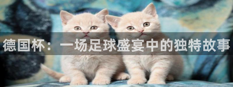免费看足球直播比赛:德国杯:一场足球盛宴中的独特故事